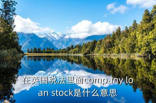 英國(guó)出國(guó)稅 是什么意思，在英國(guó)稅法里面company loan stock是什么意思