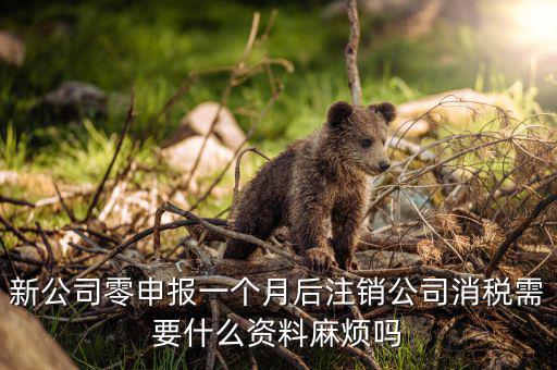 注銷稅盤需要什么資料，新公司零申報一個月后注銷公司消稅需要什么資料麻煩嗎