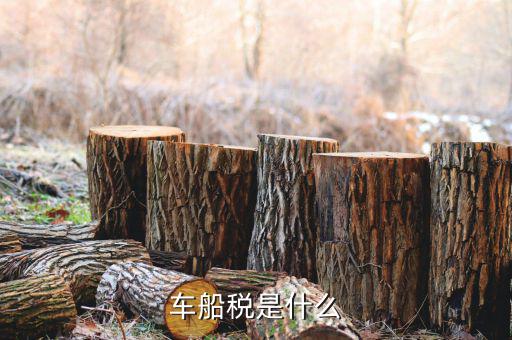 保險的車船稅是什么意思，車船稅是什么