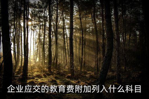 教育費(fèi)附加干什么，教育費(fèi)附加代表什么意思