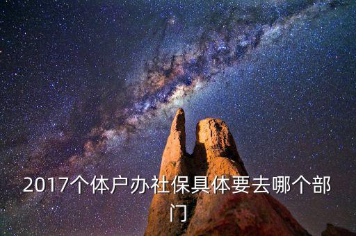 2017個(gè)體戶辦社保具體要去哪個(gè)部門
