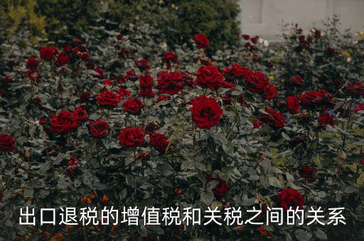 出口關(guān)稅和什么有關(guān)系，出口退稅與進(jìn)口增值稅有什么關(guān)系