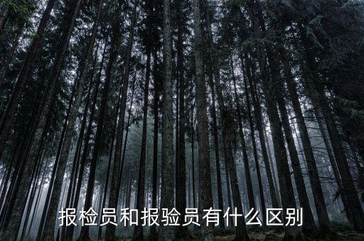 報(bào)驗(yàn)企業(yè)是什么意思，外埠納稅人經(jīng)營地報(bào)驗(yàn)登記是什么意思