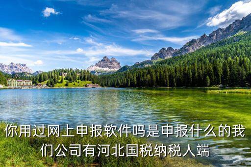 國(guó)稅人像采集是什么意思，你用過(guò)網(wǎng)上申報(bào)軟件嗎是申報(bào)什么的我們公司有河北國(guó)稅納稅人端