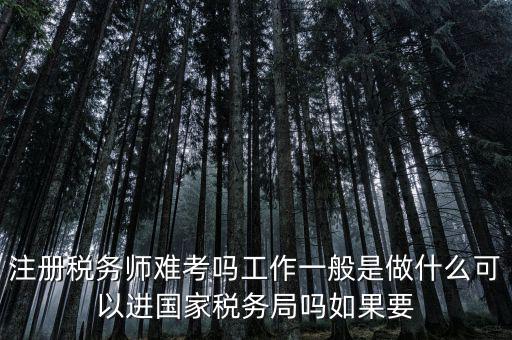 什么是稅務(wù)師，注冊(cè)稅務(wù)師能干什么待遇怎么樣