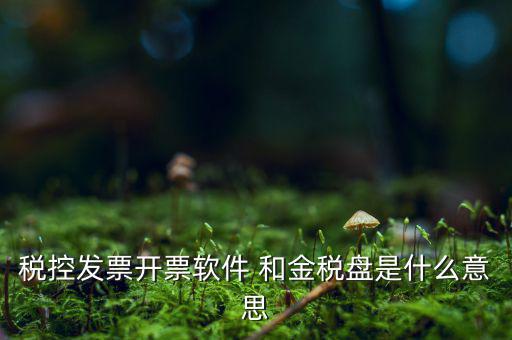 稅控系統(tǒng)指什么，稅控發(fā)票開票軟件 和金稅盤是什么意思