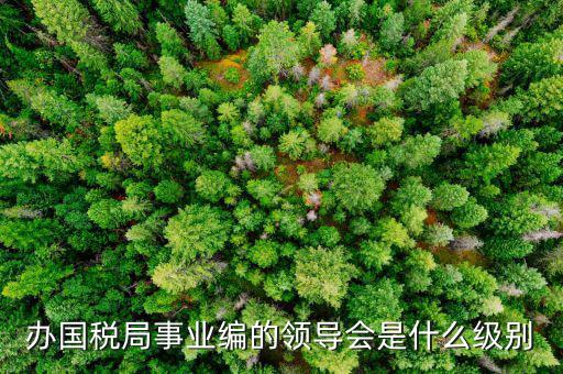 國稅局主任是什么職位，國稅局辦公室人員
