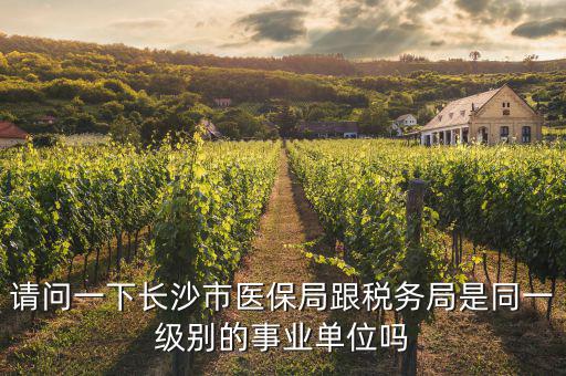 國(guó)稅局是什么醫(yī)保，請(qǐng)問(wèn)一下長(zhǎng)沙市醫(yī)保局跟稅務(wù)局是同一級(jí)別的事業(yè)單位嗎