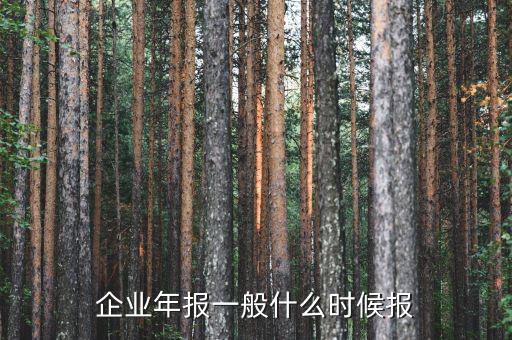 財務年報什么時候報，企業(yè)財務會計報告什么時間出具
