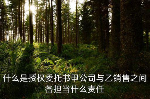 什么是授權(quán)委托書甲公司與乙銷售之間各擔(dān)當什么責(zé)任
