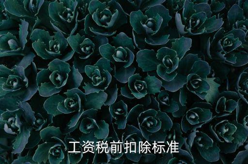 什么是稅前扣除標(biāo)準(zhǔn)，請(qǐng)問差旅費(fèi)稅前扣除標(biāo)準(zhǔn)是什么