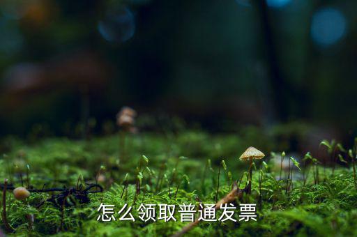普通發(fā)票在什么地方領(lǐng)，怎么領(lǐng)取普通發(fā)票