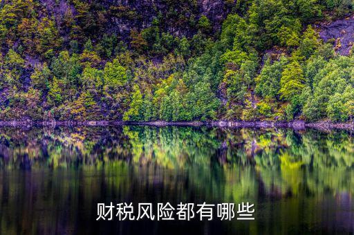 財稅問題有什么，請教財稅的基礎(chǔ)問題謝謝很簡單的