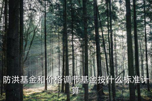 防洪基金是什么，防洪基金屬于什么科目