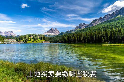 公司買地需要交什么稅，房地產開發(fā)公司買土地要交什么稅