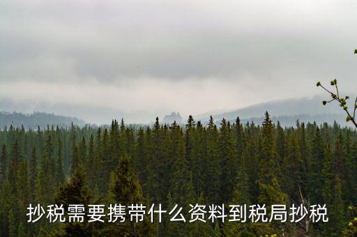 報稅查什么輔導信息，剛申請為一般納稅人在哪查看是否要經(jīng)過輔導期納稅申報初始化填5