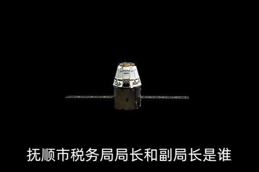 撫順地稅局局長叫什么，撫順國家稅務局地址