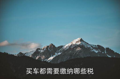 車輛納稅需要什么意思，車輛上路需要交什么稅