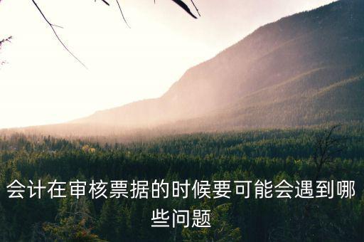 審核憑證會(huì)出什么問題，在審核憑證時(shí)出現(xiàn)這個(gè)問題是怎么回事