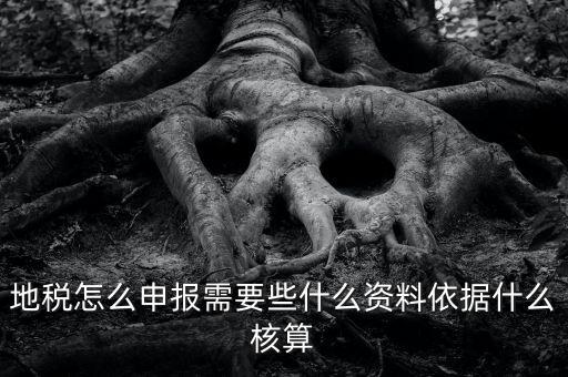 地稅根據什么申報，地稅怎么申報