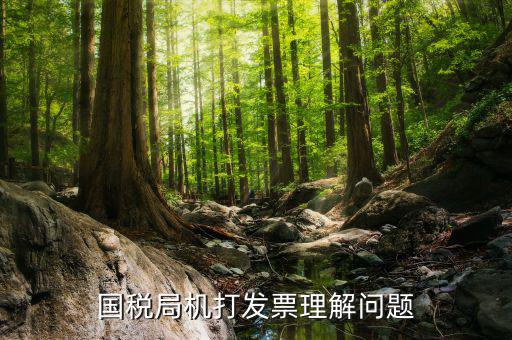 機打票是什么問題，個體工商戶開機打票的問題