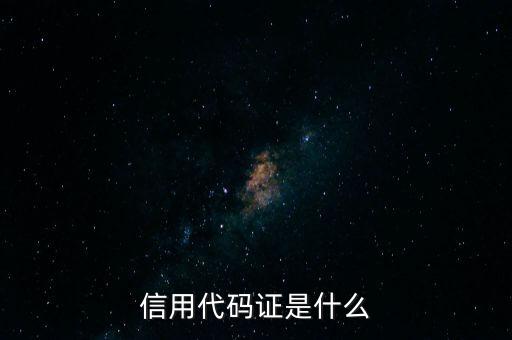 信用代碼號(hào)是什么情況，信用代碼證是什么