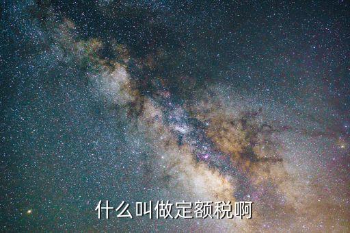 定額定稅是什么意思，什么叫做定額稅啊
