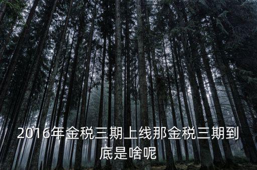 國(guó)稅金稅三期是什么意思，金稅三期是什么意思