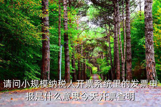 稅票申報是什么意思，納稅申報與申報納稅是一個意思嗎都是代理記賬的業(yè)務(wù)范疇嗎  搜