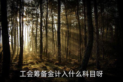 什么是工會(huì)籌備金，工會(huì)籌備金計(jì)入什么科目呀