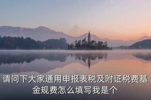 通用申報(bào)基金規(guī)費(fèi)包括什么，請(qǐng)問下大家通用申報(bào)表稅及附證稅費(fèi)基金規(guī)費(fèi)怎么填寫我是個(gè)