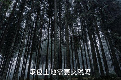 土地承包費征什么稅，我公司承包一農(nóng)民的土地承包期限至該農(nóng)民包地期限為止請問我公