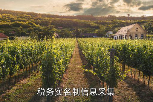 實(shí)名采集需要什么資料，實(shí)名制驗(yàn)證身份證信息采集有沒有這種身份證證件識(shí)別方式  搜