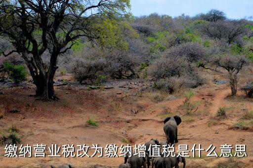 營業(yè)稅改為增值稅是什么意思，營業(yè)稅改增值稅指的是什么