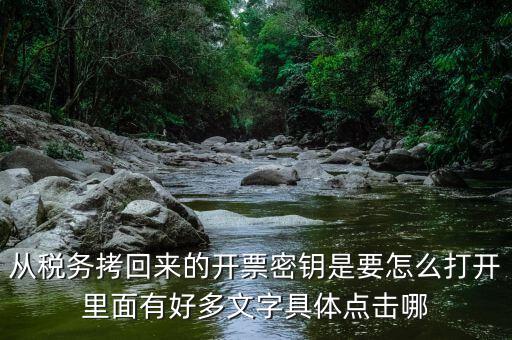 稅務(wù)密鑰是什么，增值稅專用發(fā)票辦理秘鑰是什么意思