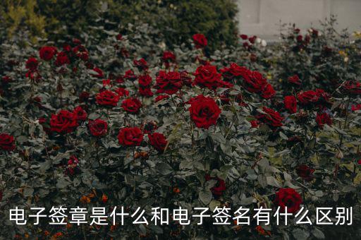 國(guó)稅電子簽章什么意思，什么是電子印章