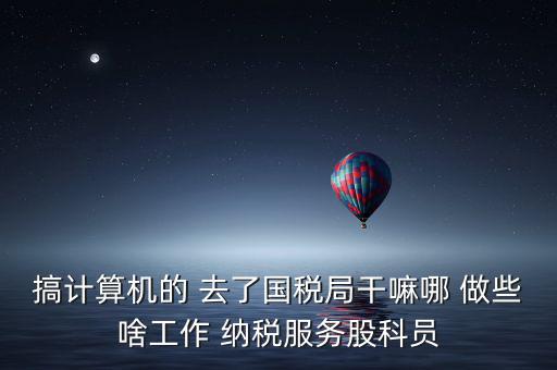 納服科是什么，搞計(jì)算機(jī)的 去了國(guó)稅局干嘛哪 做些啥工作 納稅服務(wù)股科員