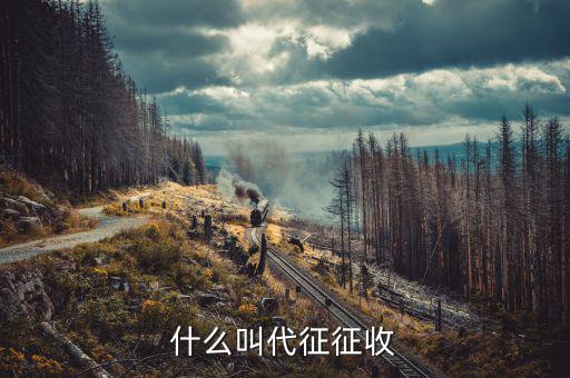 什么叫代征規(guī)費(fèi)，什么是規(guī)費(fèi)