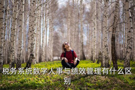 數(shù)字人事評(píng)是什么，稅務(wù)系統(tǒng)數(shù)字人事與績(jī)效管理有什么區(qū)別
