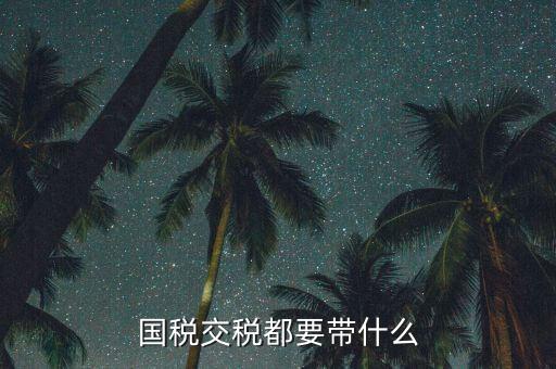國(guó)稅錄指紋需要帶什么，國(guó)稅交稅都要帶什么