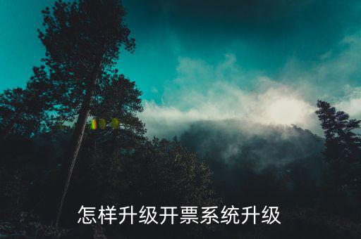 開票用什么軟件升級(jí)，怎樣升級(jí)開票系統(tǒng)升級(jí)