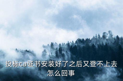 ca登陸不上是什么原因，登不上是怎么回事