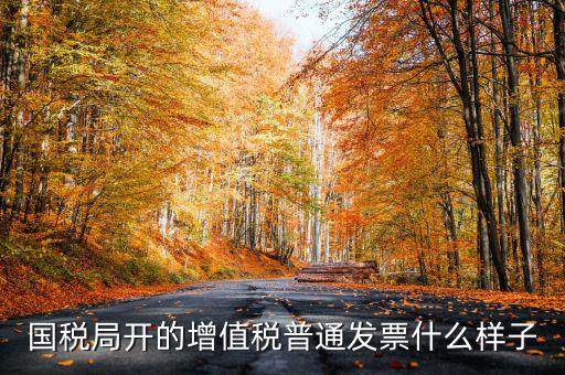 國(guó)稅局開(kāi)的增值稅普通發(fā)票什么樣子