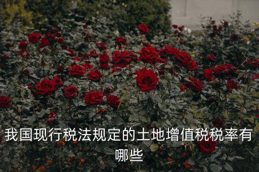 土地增值稅采用什么稅率，土地增值稅應(yīng)用于哪種稅率形式