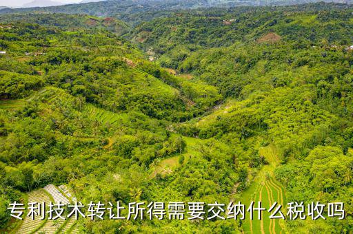 專利技術轉(zhuǎn)讓所得需要交納什么稅收嗎