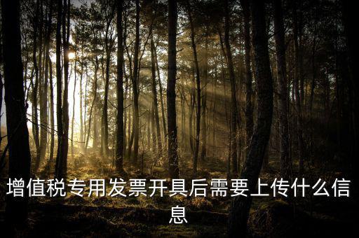增值稅專(zhuān)用發(fā)票開(kāi)具后需要上傳什么信息