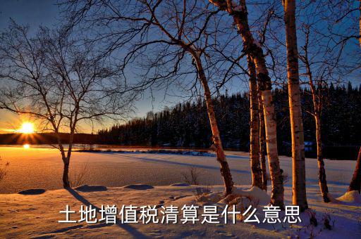 土地增值稅納稅清算什么意思，土地增值稅清算