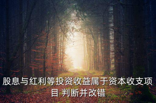 股息紅利等投資收益屬于什么，股息與紅利等投資收益屬于資本收支項目 判斷并改錯