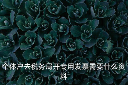 個(gè)體戶(hù)開(kāi)專(zhuān)票需要什么，個(gè)體在國(guó)稅局開(kāi)增值稅專(zhuān)用發(fā)票需要什么資料