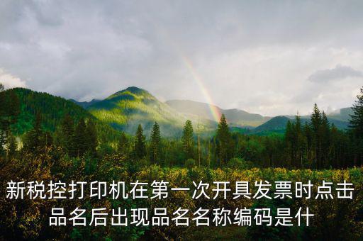 發(fā)票 商品編碼是什么，發(fā)票號碼和發(fā)票代碼是什么我的發(fā)票上只有單據(jù)編碼和貨品編號啊